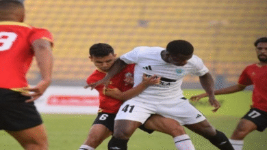 طلائع الجيش وزد