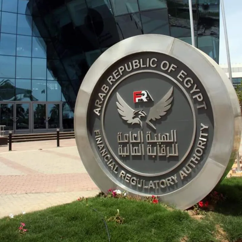 “لتعزيز الانضباط”.. الرقابة المالية تلغي تراخيص 3 شركات و260 مؤسسة تعمل في التمويل المتناهي الصغر