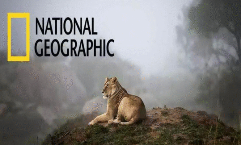 تردد قناة ناشيونال جيوغرافيك