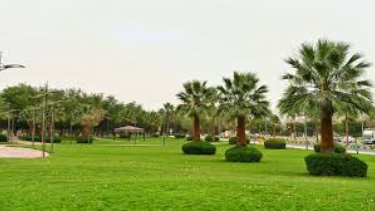 حدائق نجران.. متنفس طبيعي يعزز جودة الحياة ويزدان بالخضرة