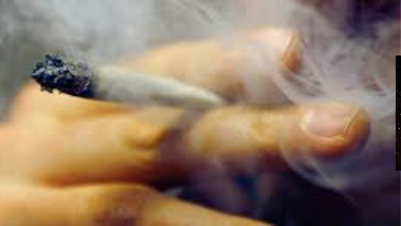 مدير الـCIA الأسبق يثير جدلًا واسعًا بتصريحات عن تدخين الحشيش في مصر.. كشف مثير يشعل النقاش