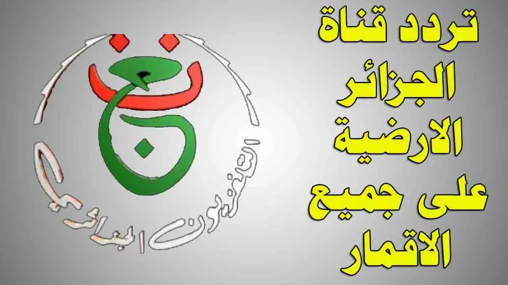 “شاهد البطولة في منزل”.. تردد قناة الجزائرية الأرضية لمتابعة بطولة أفريقيا مجاناً