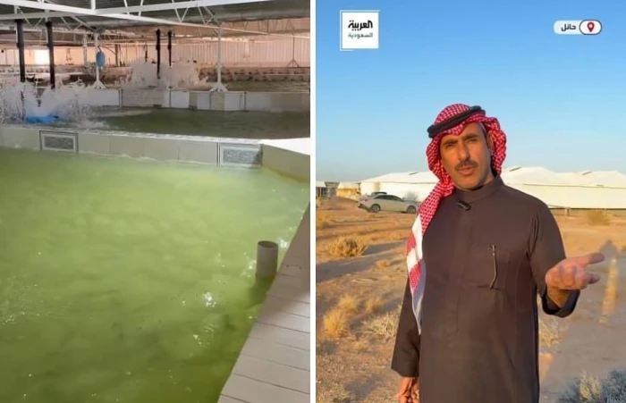 «من صحراء النفود إلى موائد الطعام» شاهد كيف استثمر مواطن في زراعة سمك السلمون والكشف عن إنتاجه السنوي المذهل