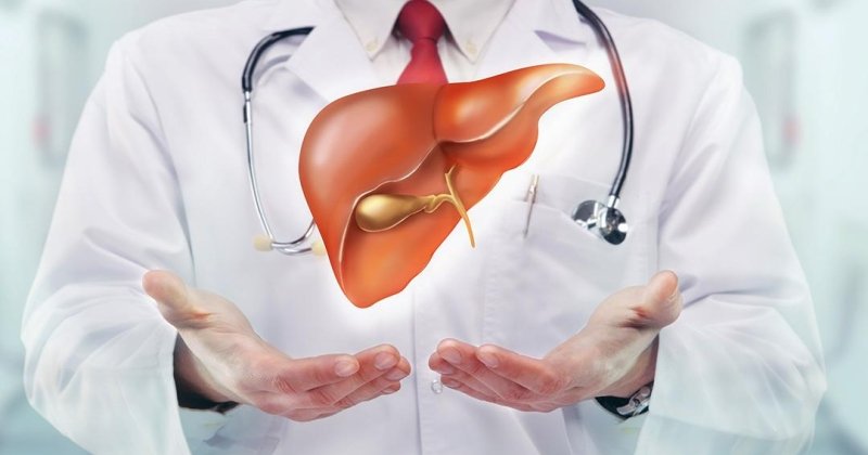 «تحذير من نظام غذائي شائع يرفع خطر الإصابة بسرطان الكبد»