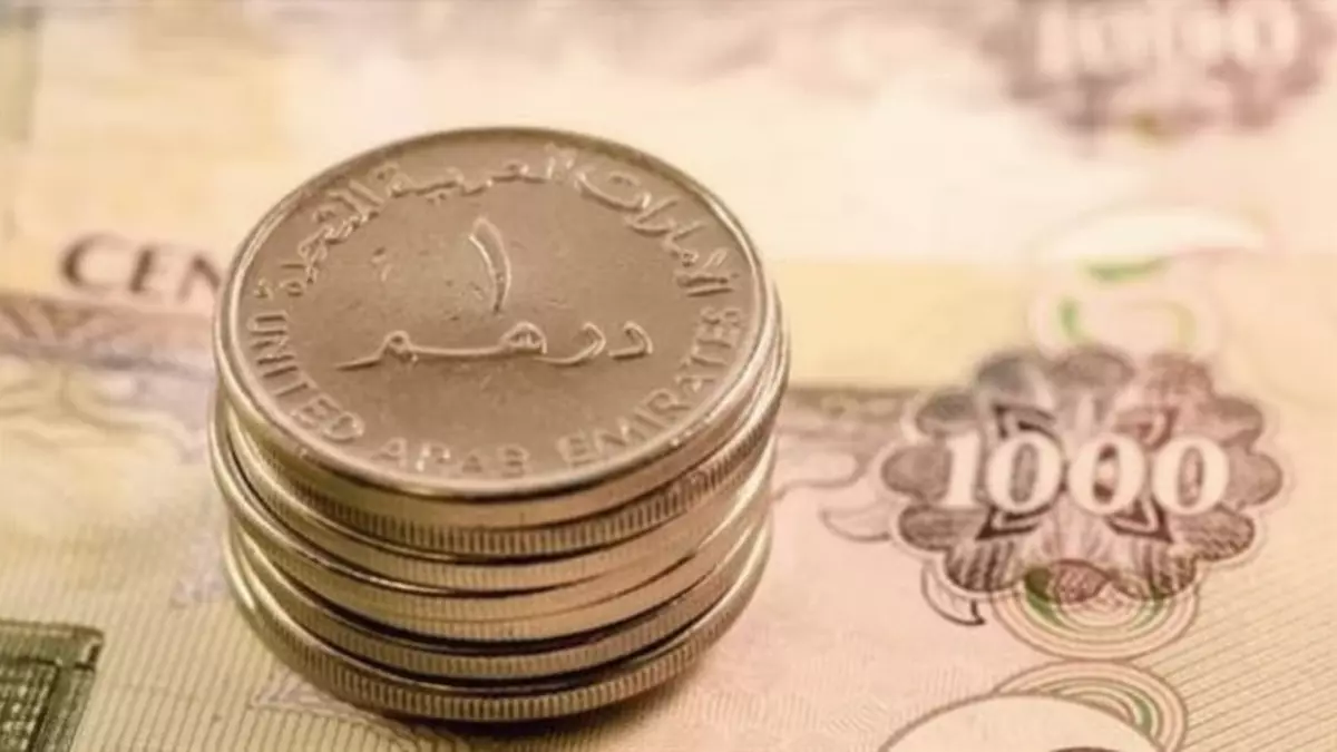 «أسعار الدرهم الإماراتي تتأرجح اليوم 25 يناير والاختلاف بين البنوك يصل إلى 32 قرش»