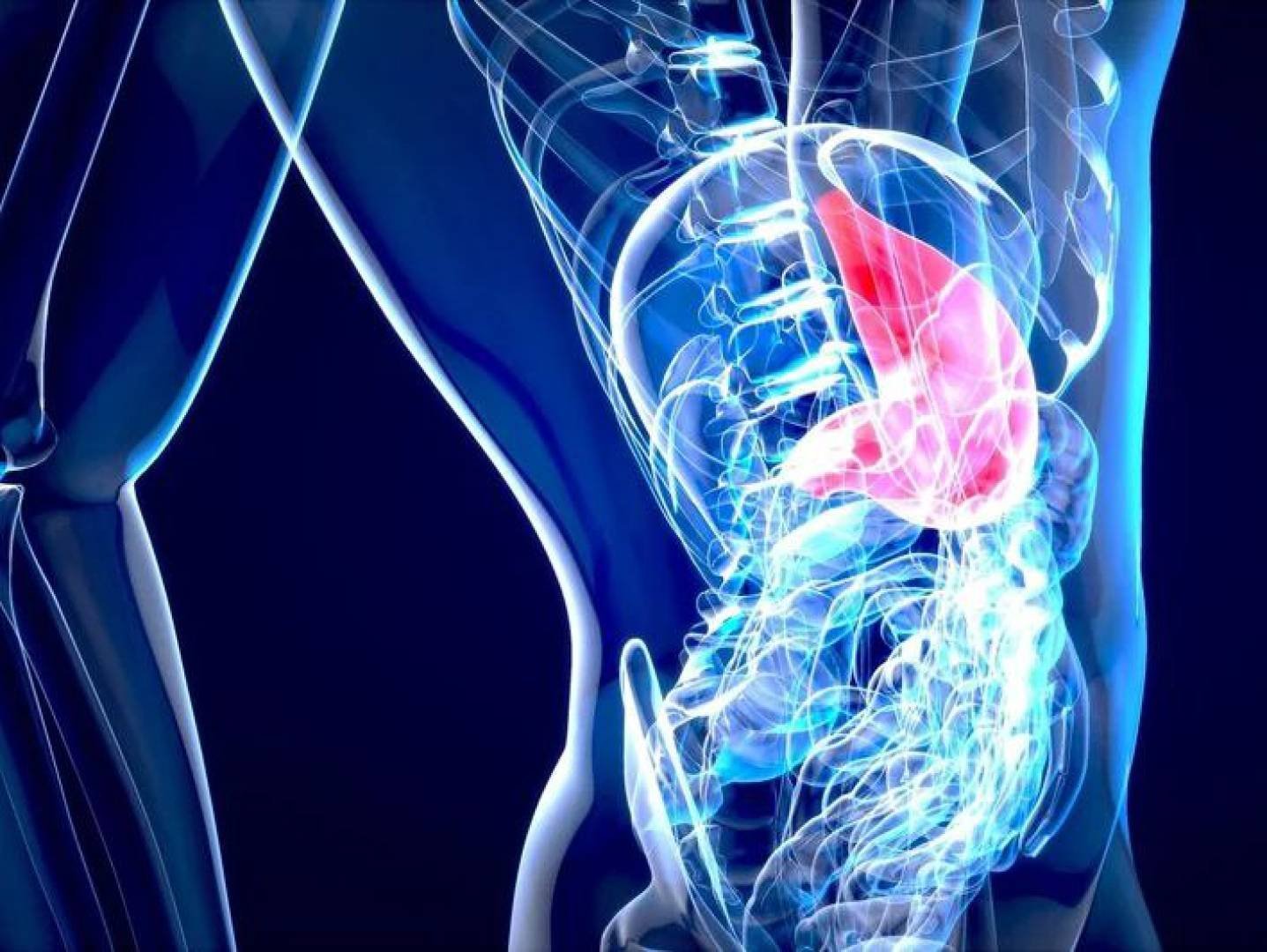 «دراسة جديدة تكشف العلاقة غير المتوقعة بين صحة الكبد وصحة العظام لدى الرجال»