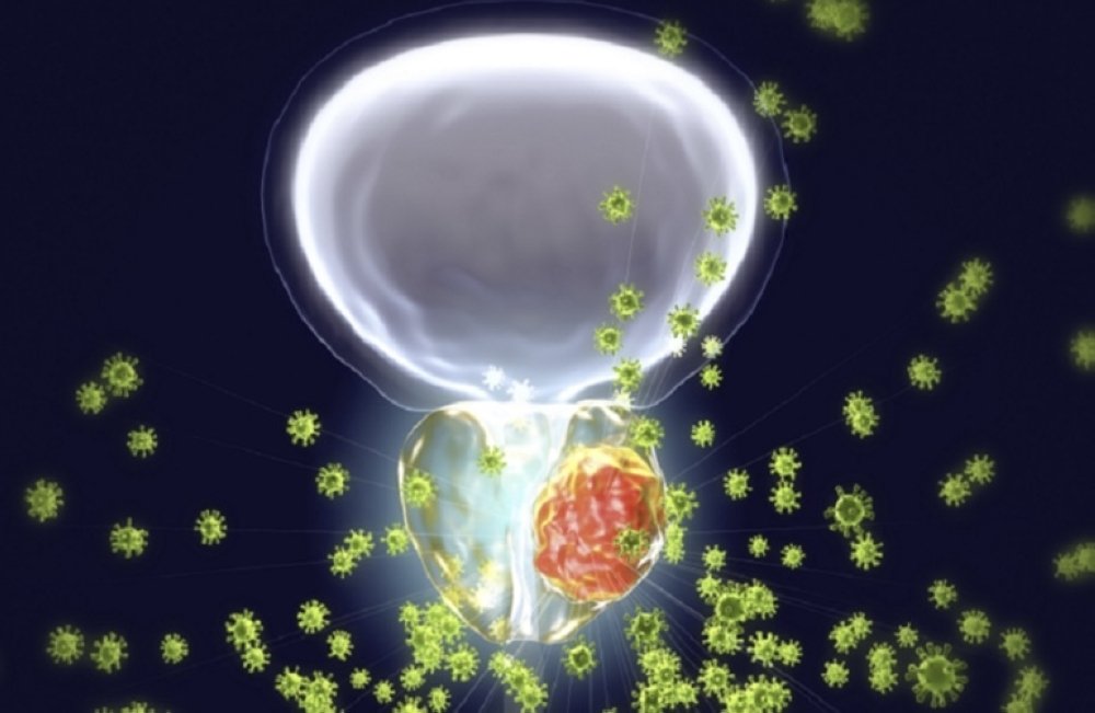 «العلاقة الحميمة ليست سببًا في الوقاية من سرطان البروستاتا»