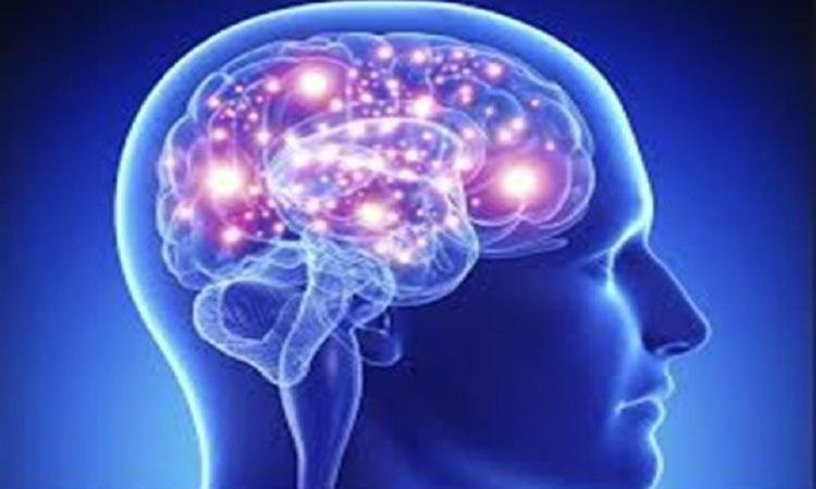 اكتشاف فيروس معدل وراثياً يعالج أورام الدماغ القاتلة بفعالية