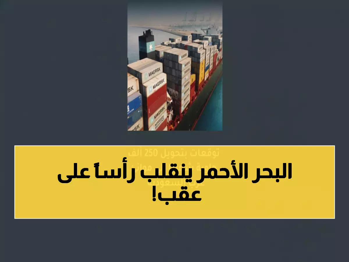 «ثورة في التجارة العالمية: 250 ألف حاوية تعيد تشكيل مشهد الشحن البحري السعودي»