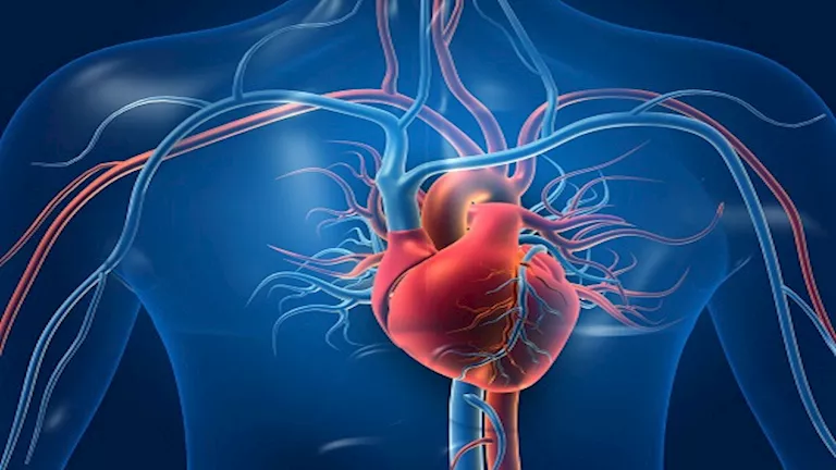 تجنب هذه 5 عادات مسائية خطيرة تؤثر سلباً على صحة قلبك بعد الساعة 8 مساءً