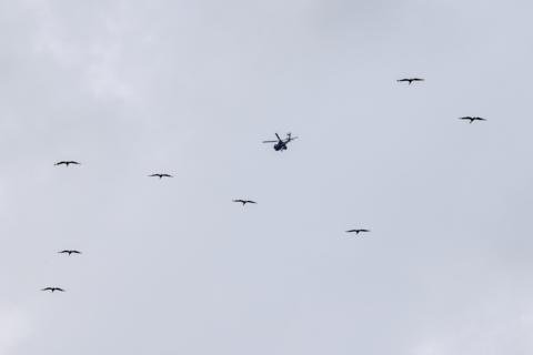 طهران تحذر من إغلاق مضيق هرمز لحين إعادة تأهيل منشآت الطاقة وناتو يستبعد قدرة صواريخ إيران على الوصول إلى أوروبا