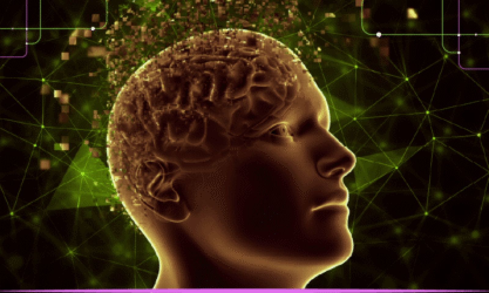 اكتشاف دور الدهون في الخلايا العصبية في تنظيم الإحساس باللمس والحرارة