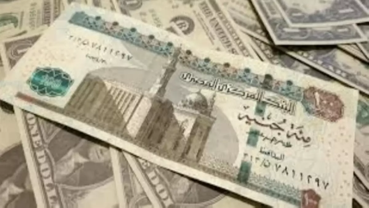 «قفزة تاريخية للريال السعودي في مصر» الريال السعودي يسجل أعلى مستويات له في السوق المصرية، فرص الشراء تحت المجهر