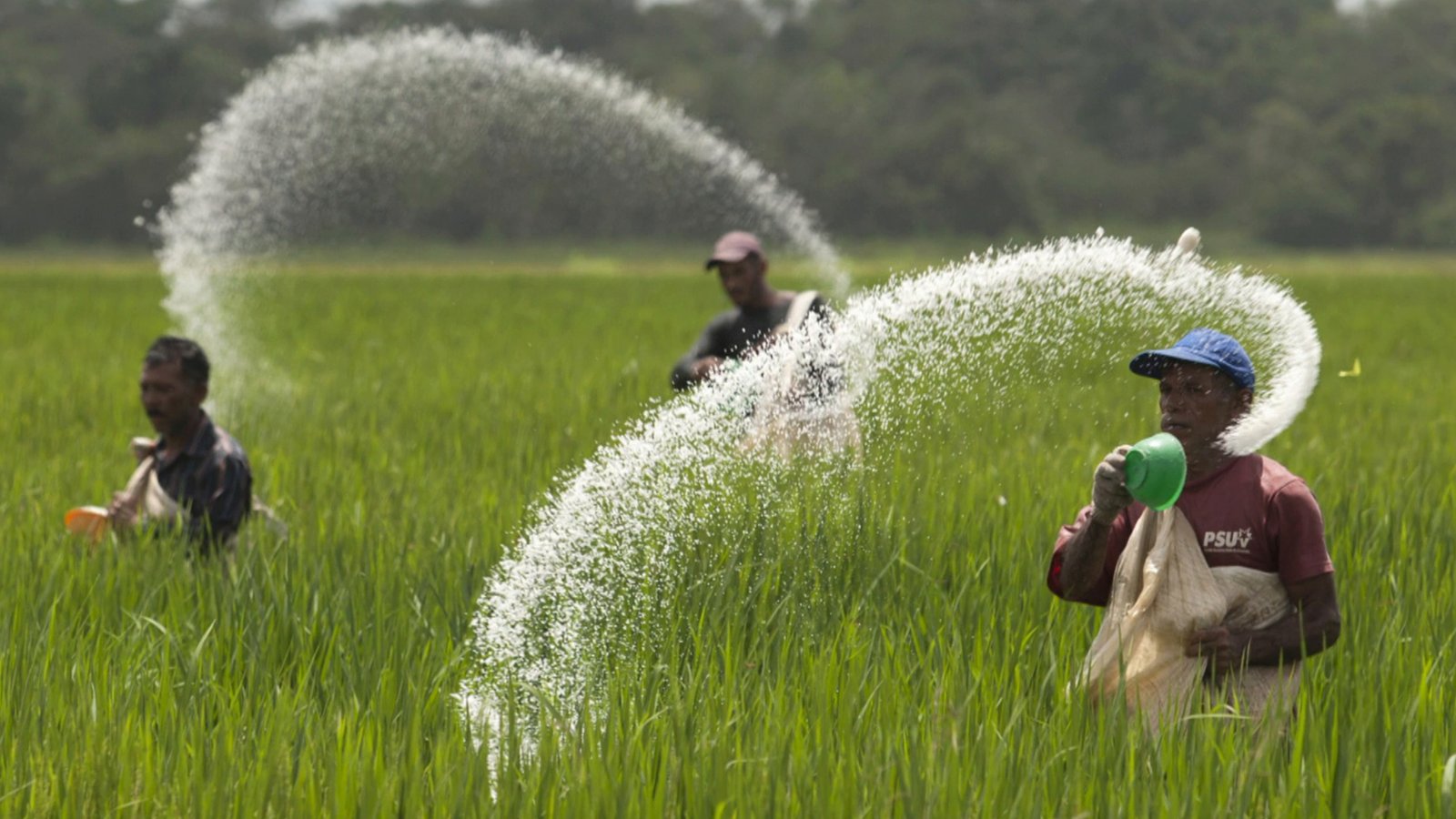إغلاق مضيق هرمز يثير مخاوف من تفاقم أزمة نقص الغذاء العالمي