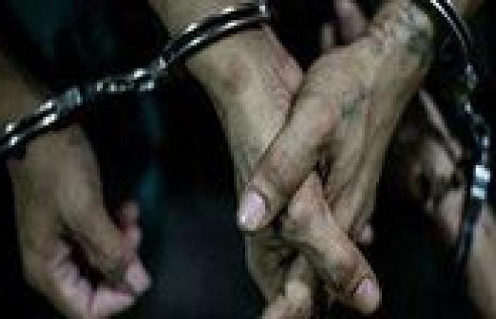 شرطة الكهرباء تكشف عن ضبط 1221 مخالفة تتعلق بسرقة التيار وجرائم الوصلات غير القانونية