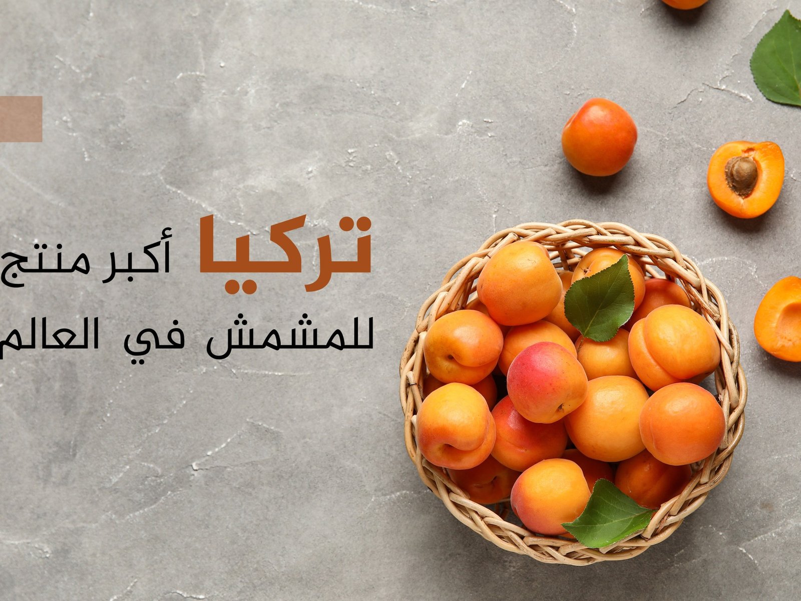 «تعرف على أكبر 10 دول منتجة ومصدرة للمشمش عالميًا بما في ذلك الدول العربية»