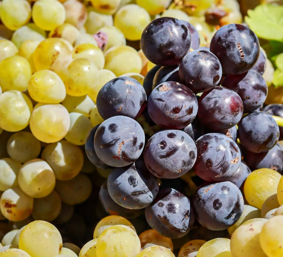 9 أطباق صحية ضرورية لطاولة طعامك بعد بلوغ الستين