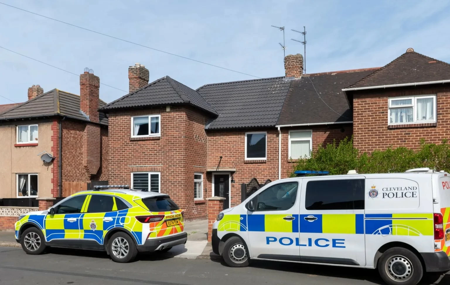 هجوم كلبين ي tragically يودي بحياة رضيعة 3 أشهر وأم تناشد لإنقاذ طفلتها