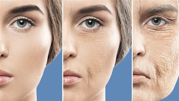 السكريات تسبب شيخوخة الخلايا وتؤثر على صحة أجسامنا الداخلية